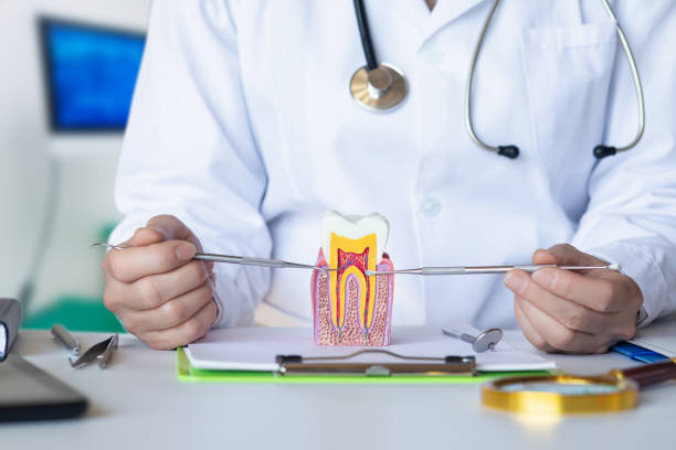 Best Tooth Infection Emergency Dentist  in Holland, OH